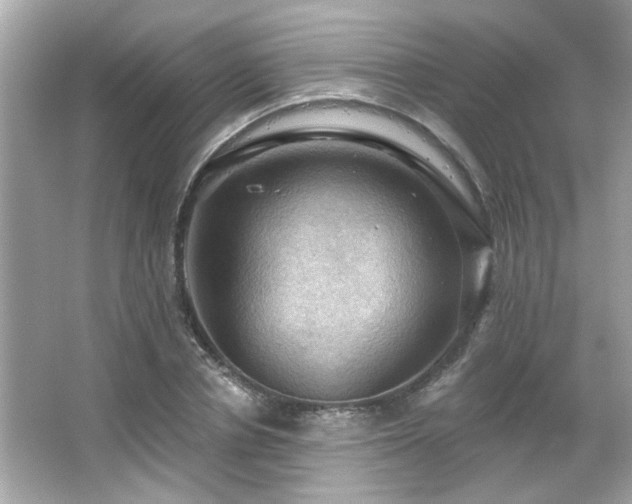 X0000066090834200603101204