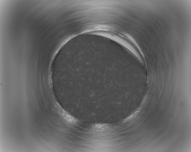 X0000066090835200603101204