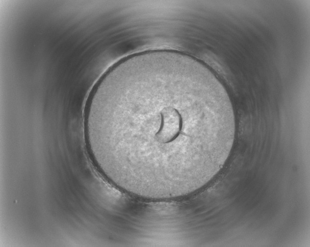 X0000066090836200603101204