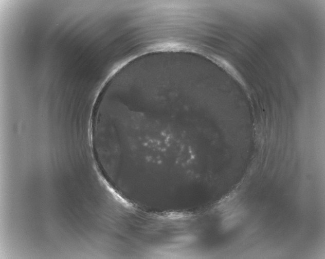 X0000066090839200603101204