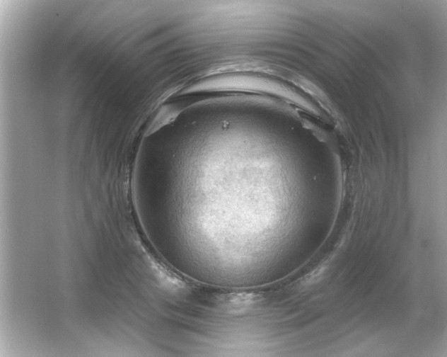 X0000066090841200603101204