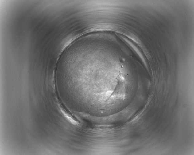 X0000066090842200603101204