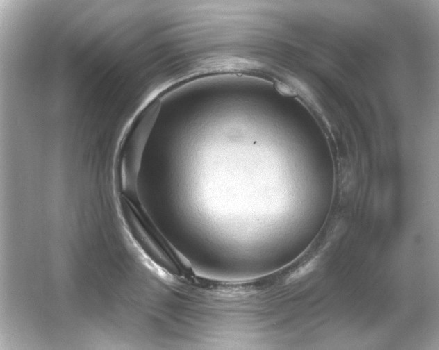 X0000066090843200603101204