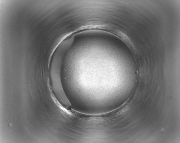 X0000066090844200603101204