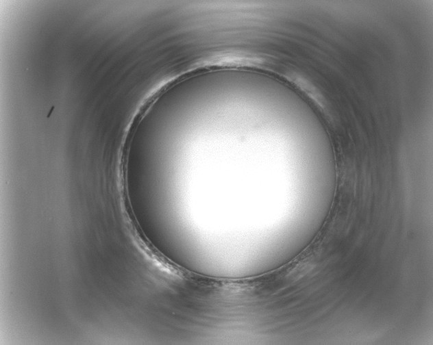 X0000066090848200603101204