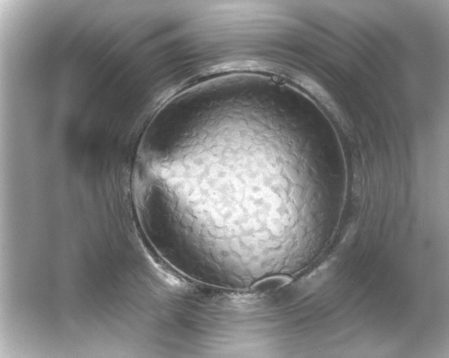 X0000066090849200603101204