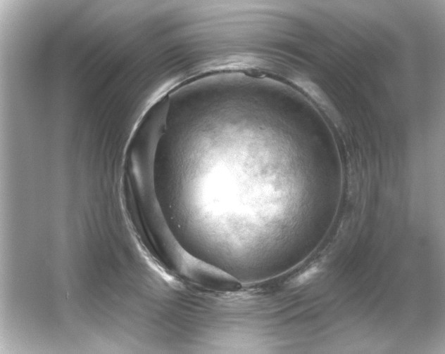 X0000066090850200603101204