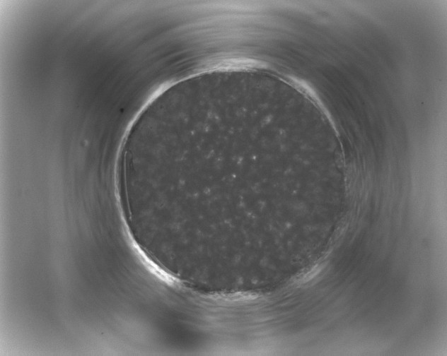 X0000066090851200603101204