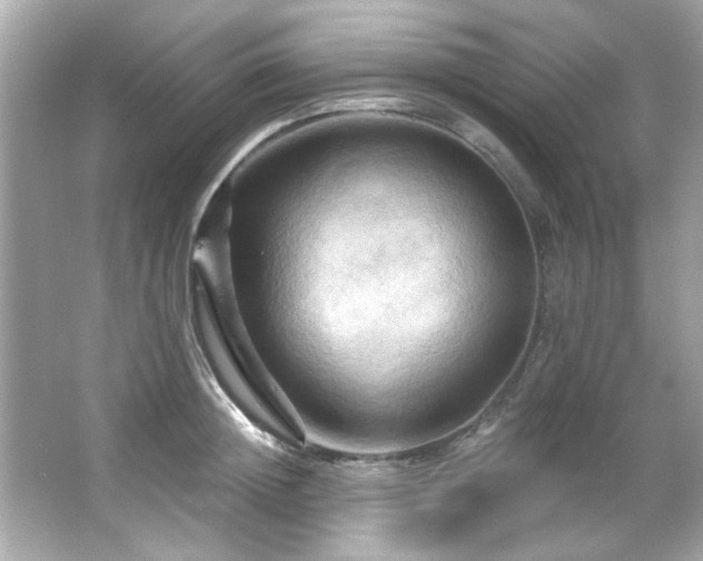 X0000066090852200603101204