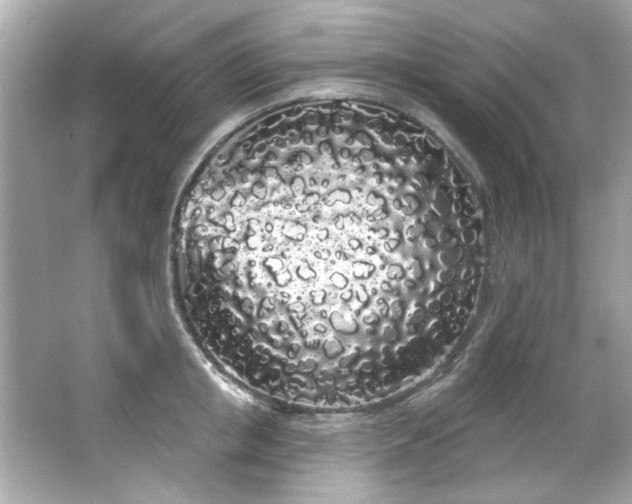 X0000066090853200603101204