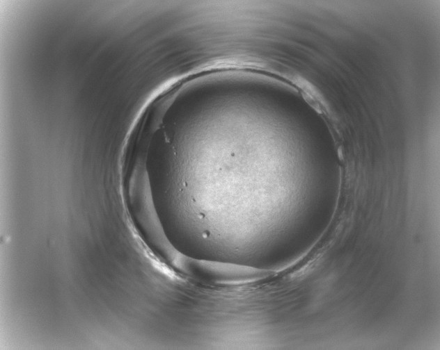 X0000066090854200603101204