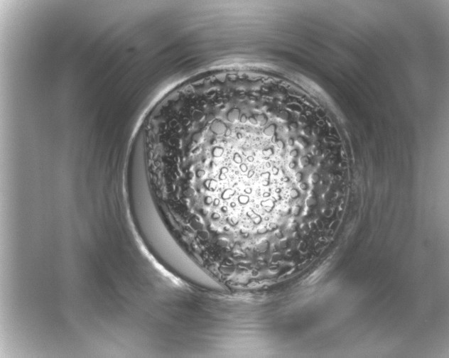 X0000066090855200603101204