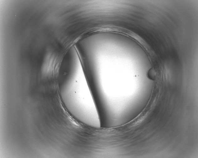 X0000066090857200603101204