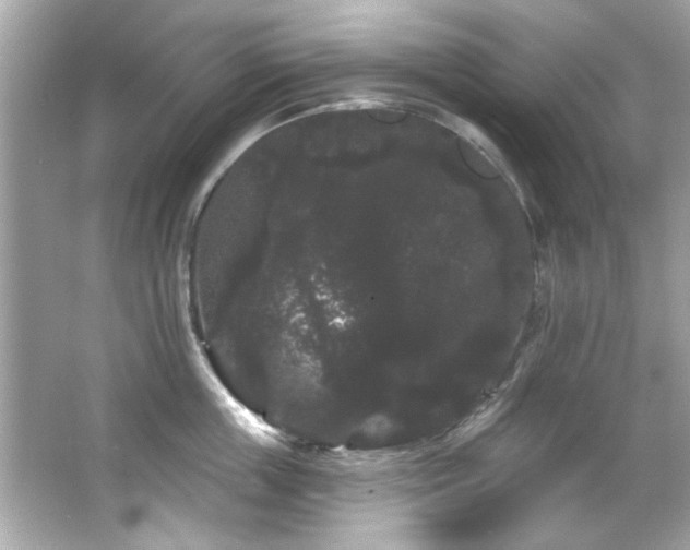 X0000066090859200603101204