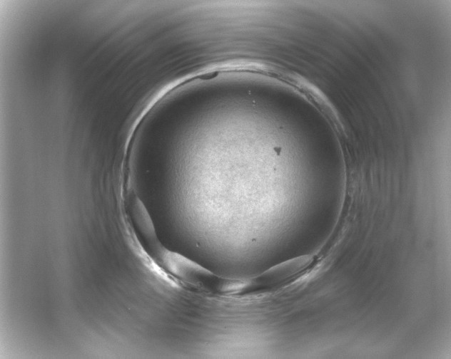 X0000066090860200603101204