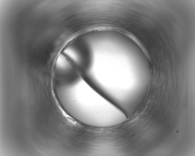 X0000066090861200603101204