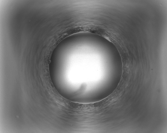 X0000066090865200603101203