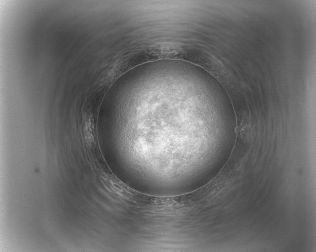 X0000066090866200603101203