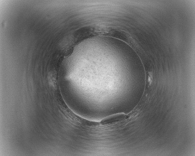 X0000066090867200603101203