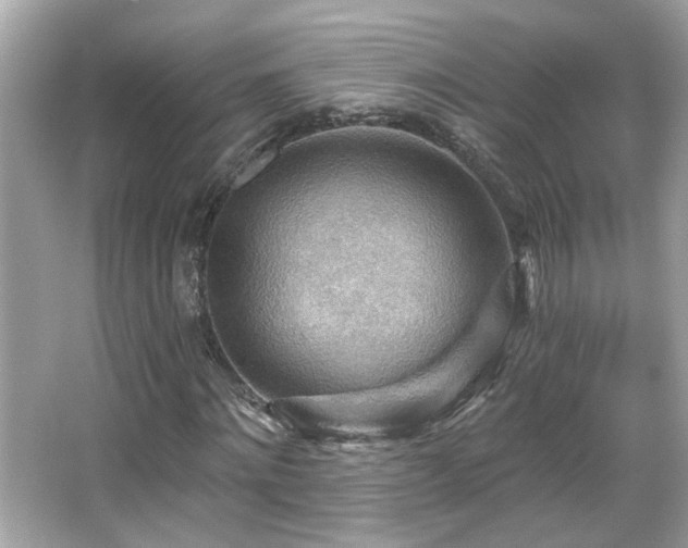 X0000066090868200603101203