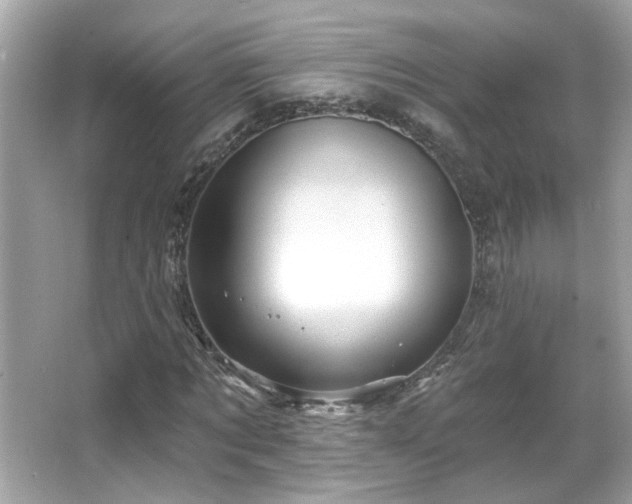 X0000066090869200603101203