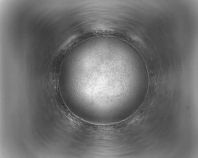 X0000066090870200603101203