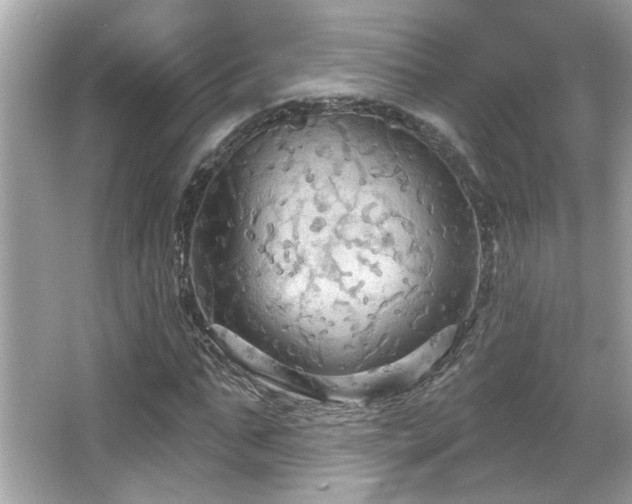 X0000066090871200603101203