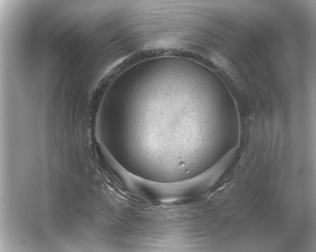 X0000066090872200603101203