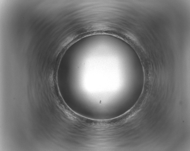 X0000066090873200603101203