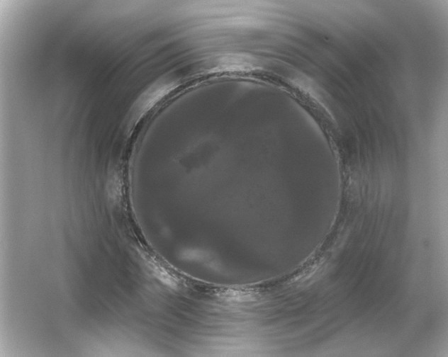 X0000066090874200603101203