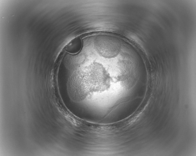 X0000066090875200603101203