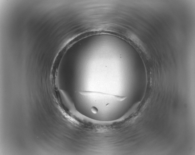 X0000066090876200603101203