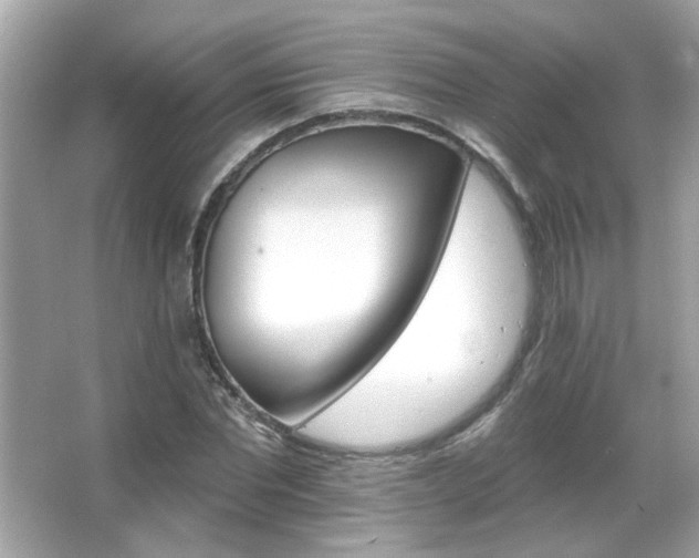 X0000066090877200603101203