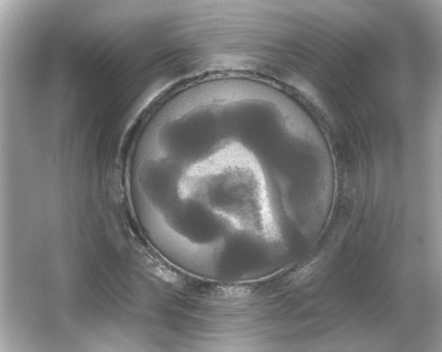 X0000066090878200603101203