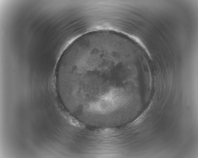 X0000066090879200603101203