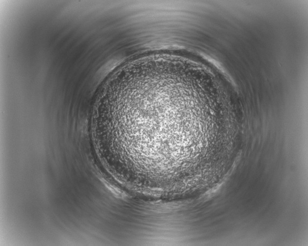 X0000066090881200603101203