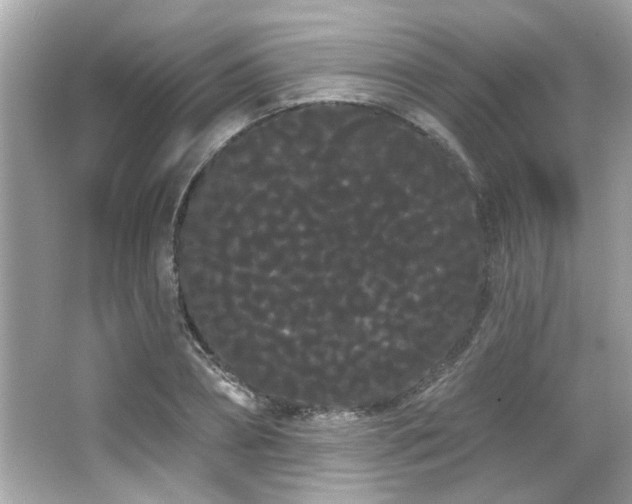 X0000066090882200603101203