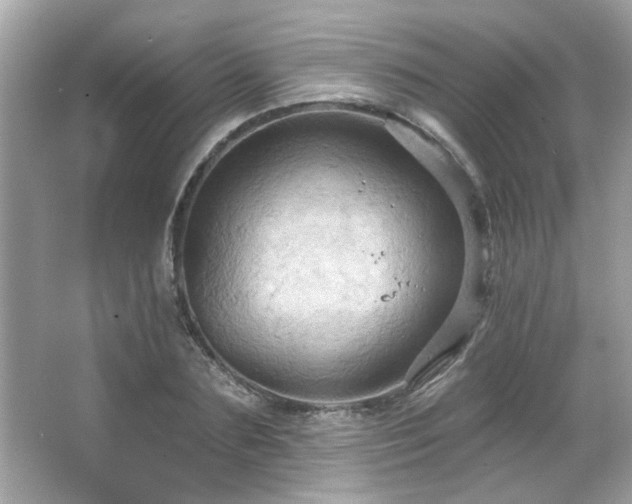 X0000066090883200603101203