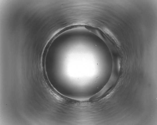 X0000066090884200603101203