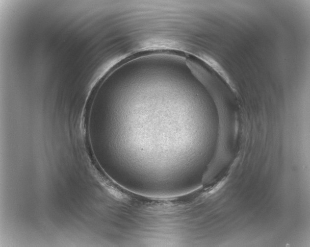 X0000066090885200603101203