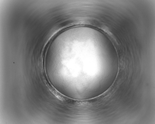 X0000066090886200603101203