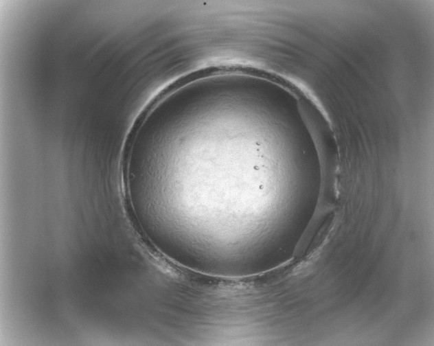 X0000066090887200603101203