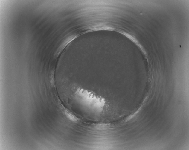 X0000066090889200603101203