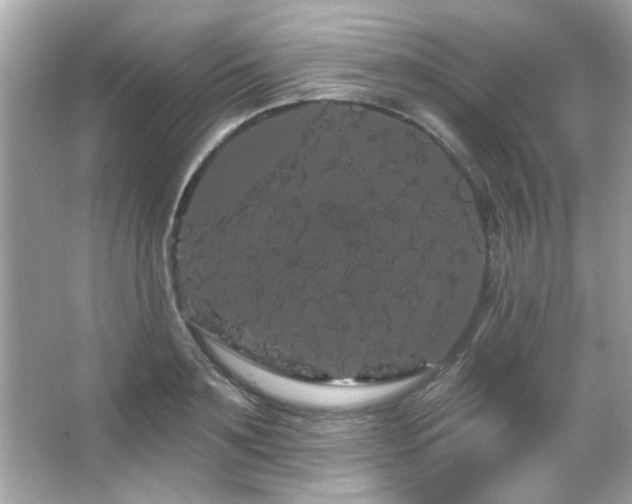 X0000066090891200603101203