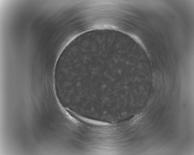 X0000066090895200603101203