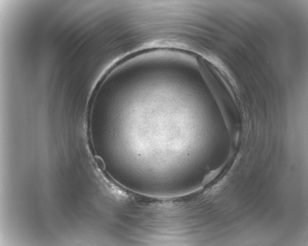 X0000066090896200603101203