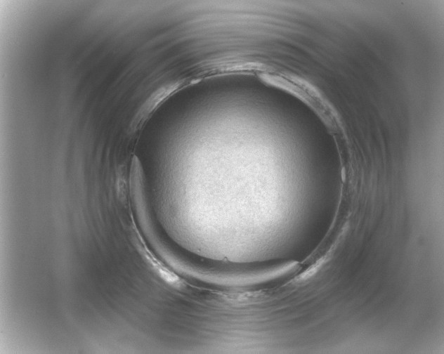 X0000066090897200603101203