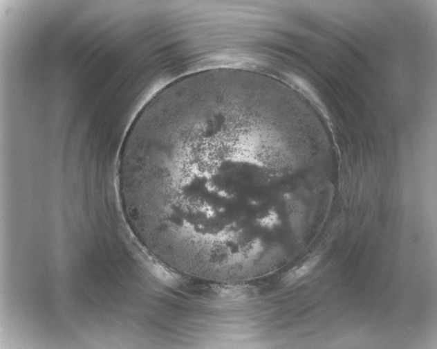 X0000066090899200603101203