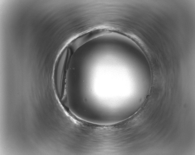 X0000066090902200603101203