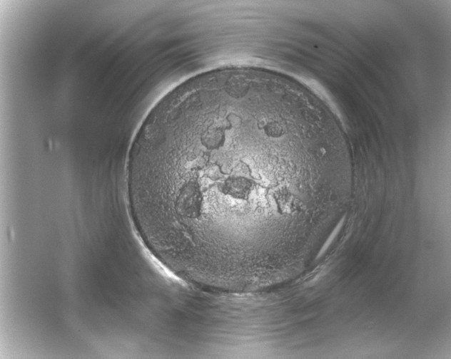 X0000066090903200603101203